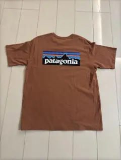 patagonia パタゴニア　P-6ロゴ　Tシャツ　ブラウン