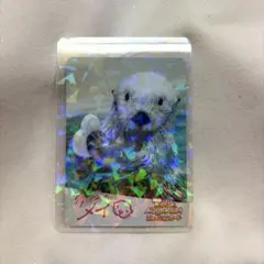 最終値下げ！鳥羽水族館 コレクションカード 70周年記念ラッコ キラ