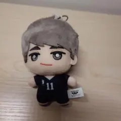 ハイキュー!! 宮治 ちみっともぬい