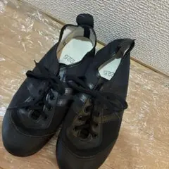 Item thumbnail for item 58c23bd9-57f6-4e97-ac1e-6aca4daa1507