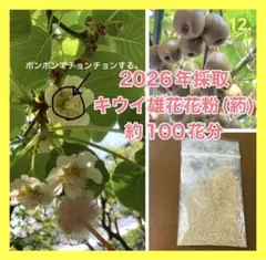 2026年最新】キウイフルーツ 花粉の人気アイテム - メルカリ
