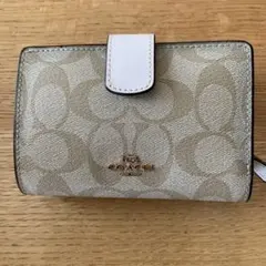 Item thumbnail for item c0997f44-b77d-4fee-8b56-df2ece141a3a