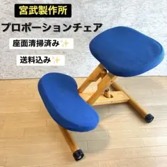 宮武製作所 姿勢矯正プロポーションチェア バランスチェア 補助