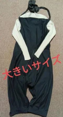 Item thumbnail for item 6c5ffec5-8c3b-45e1-8402-acfb98aa6544