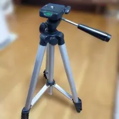 Item thumbnail for item d8165994-1b92-4ce6-a138-b29b2b7259c0