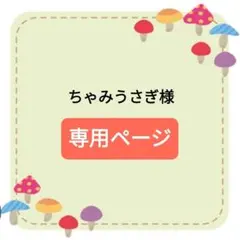 ちゃみうさぎ様専用ページ♡A−100