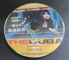 菊地姫奈　週刊プレイボーイ付録dvd