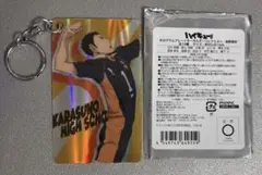 ハイキュー　澤村大地　ホログラムプレートキーホルダーコレクション　烏野