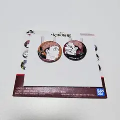 虎杖悠仁缶バッジ100点セット g190.jpg