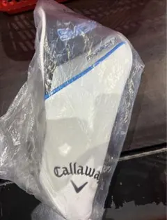 Item thumbnail for item 0159e8de-93b8-463f-a539-96dd26782989