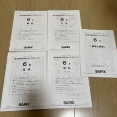 2025年最新】サピックスオープンの人気アイテム - メルカリ