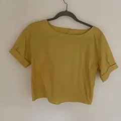 BALLSEY 半袖 トップス イエロー サイズ38美品のサムネイル