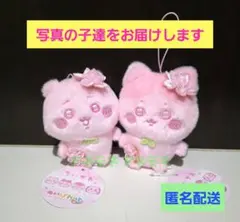 2026年最新】ハチワレぬいぐるみの人気アイテム - メルカリ