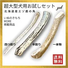 極上美品) 角煮おにんこ ノンポリシー虫の息/ぎんば 年代物中古美品 