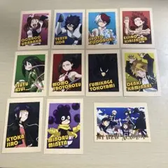 ヒロアカ ぱしゃこれ 11枚