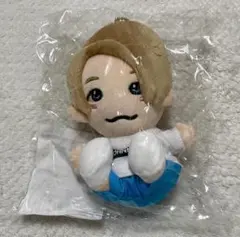 Aぇ！group 正門良規 ちびぬい 関ジュ