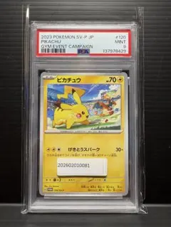 PSA9 ピカチュウ リザードン #120 SV-P