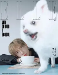 表紙イムシワン イム・シワン ELLE KOREA 2025年11月号