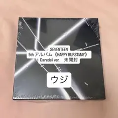 SEVENTEEN HAPPY BURSTDAY Diredevil ウジ