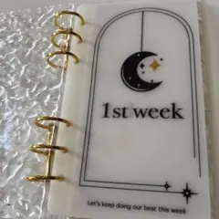 Item thumbnail for item ddd5ed11-eeb0-4b81-a10c-f323579bcd56