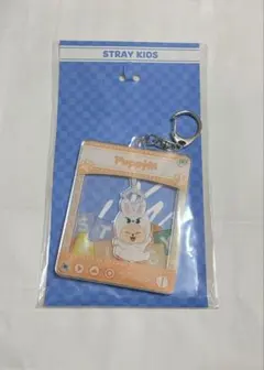 Stray Kids SKZ TOY WORLD TOYキーホルダーPuppyM - メルカリ