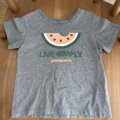 patagonia スイカデザイン Tシャツ 90cmのサムネイル