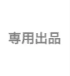 専用出品