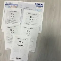 最新！原本！2024年　2年10月度確認テスト　迅速発送 サピックス2年10月度確認テスト 2024年 原本！成績資料付き！