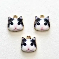 エナメルチャーム ハチワレ猫