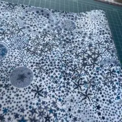 L35 Adelajdaアデラジャ ブルー 108×25cmラミネート生地