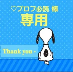 ♡プロフ必読様•*¨*•.¸♬︎専用ページ