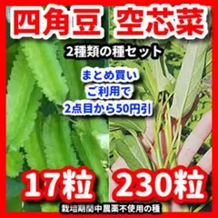 okw様 リクエスト 2点 まとめ商品
