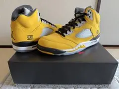 Nike Air Jordan 5 