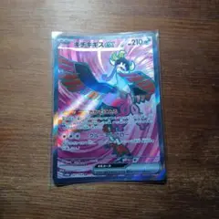 キチキギスex SR SV6a ナイトワンダラー 081/064