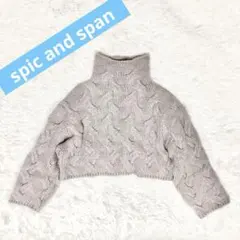 Spick and Spanアルパカ混 ケーブルショートプルオーバー タートル
