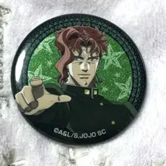 J-WORLD限定 花京院典明 缶バッジ コンプリート Kakyoin ジョジョの奇妙な冒険 缶バッジコレクション J-WORLD 恐怖を乗り越えた