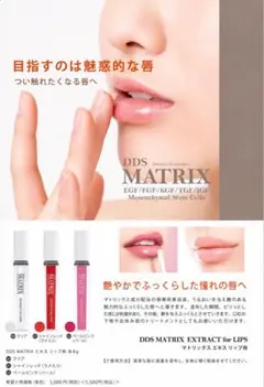 DDS マトリックス プレステージ NMN リップエキス リップグロス 幹細胞 