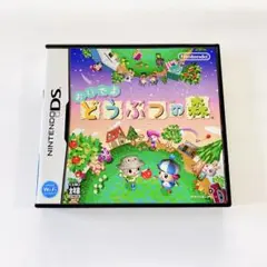 DS ゲームソフト おいでよ どうぶつの森