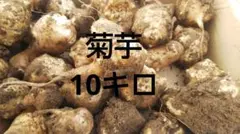 菊芋10キロ 土付き