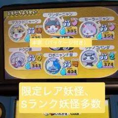 妖怪ウォッチ2 本家 やり込みデータ+パッケージ