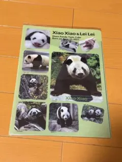 ❣️安値❣️上野動物園 シャオシャオ レイレイ クリアファイル！即購入⭕️のサムネイル
