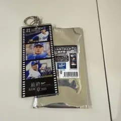 中日ドラゴンズ シークレットアクリルキーホルダー 最終章