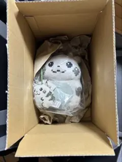 はじまりのピカチュウぬいぐるみ / マスコットピカチュウ ２体セット
