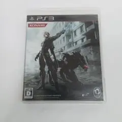 METALGEAR RISING REVENGEANCE