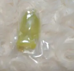 スキズ グミ&チャーム フィリックス ポガリ