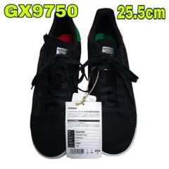 【ほぼ新品】adidas スタンスミスADV GX9750 25.5cm