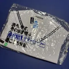 Item thumbnail for item b789aa92-80ec-482c-a165-0beba65c063d