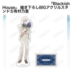 Blackish House 有村乃亜 popup アクスタ - メルカリ