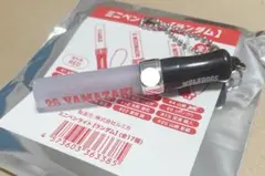【SEIBU】『西武鉄道　西武池袋線　快速急行 飯能行き　方向幕キーホルダー』 SEIBU】『西武鉄道 西武池袋線 快速急行 飯能行き 方向幕キーホルダー