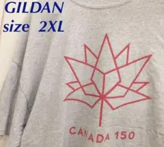 【美品】GILDAN Tシャツ CANADA 150 グレー 2XL